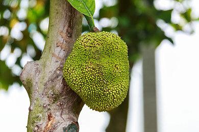 手绘3D互动小说《回忆蓝调》讲述母女真挚情感